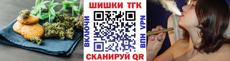 Canna-Cookies конопля  Тбилисская 