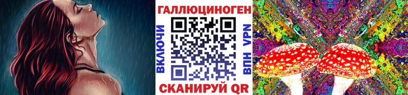ОМГ ОМГ ссылка Тбилисская Псилоцибиновые грибы Psilocybe